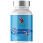 Carnium Botanicals MSM s Vitamínem C 90 kapslí – Hledejceny.cz