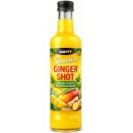 Dafit Summer Ginger Shot mango lemon coconut water 500 ml – Hledejceny.cz