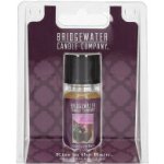 Bridgewater Candle Company Vonný olej KISS IN THE RAIN 10 ml – Hledejceny.cz