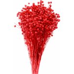 Sušený len červený 80 g – Zboží Dáma