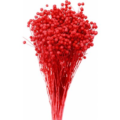 Sušený len červený 80 g – Zboží Dáma