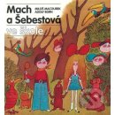 Mach a Šebestová ve škole