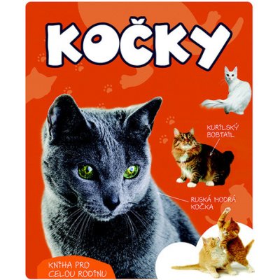 Kočky – Zbozi.Blesk.cz