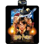 Harry Potter Pikniková deka 20. výročí – Zboží Mobilmania