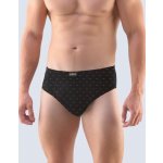 Gina pánské slipy se širším bokem šité s potiskem – Zboží Dáma