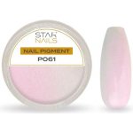 Starnails Nail Art zdobení pigment P061 – Hledejceny.cz