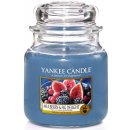 Yankee Candle Mulberry & Fig Delight 411 g