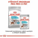 Royal Canin Mini Urinary Care 1 kg – Zboží Mobilmania