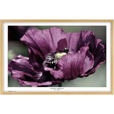 TRADAG Natura 70 x 100 přírodní – Zboží Živě