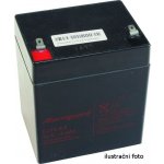 Alarmguard 12V 2,9Ah CJ12-2,9H – Hledejceny.cz