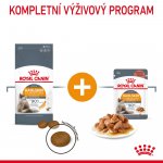 Royal Canin Hair & Skin Care 4 kg – Sleviste.cz