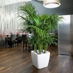 Lechuza Květináč Quadro LS Bílá 50 cm – Hledejceny.cz