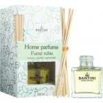 Santini Cosmetic Fumé Rubis aroma difuzér s náplní 100 ml – Hledejceny.cz