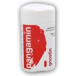 Pangamin Gnostin 200 tablet – Hledejceny.cz