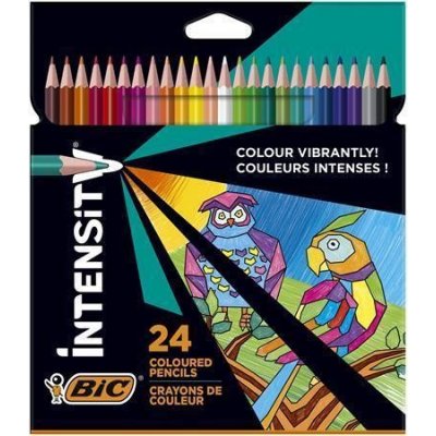 Bic Intensity Up 24 barev BIC 9641482 – Zbozi.Blesk.cz