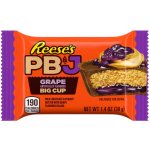 Reese's košíček plněný arašídovým máslem a hroznovou marmeládou s polevou z čokolády 39 g – Zboží Dáma