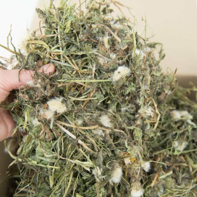 Zelený Ušák Seno z pampelišky a vojtěšky 0,5 kg – Hledejceny.cz
