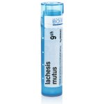 LACHESIS MUTUS POR 9CH GRA 4G – Hledejceny.cz