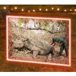 Eco Fix 2D LED světlo zarámovaná fotografie, teple bílá, závěsný, hliník – Hledejceny.cz