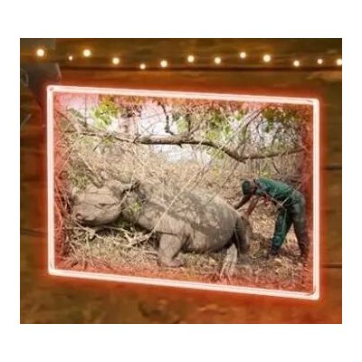 Eco Fix 2D LED světlo zarámovaná fotografie, teple bílá, závěsný, hliník – Hledejceny.cz