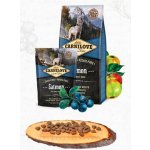 Carnilove Salmon for Adult 4 kg – Hledejceny.cz