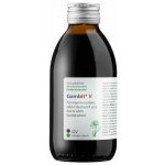Dědek kořenář GAMBIT–V 200 ml – Hledejceny.cz