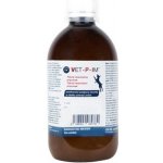 Pleuran Plerasan V sirup 120 ml – Hledejceny.cz