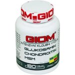 Giom Intenzivní kloubní výživa 60 tbl – Zboží Dáma