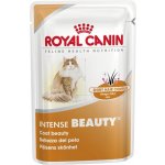 Royal Canin Hair & Skin Care 85 g – Hledejceny.cz