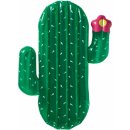 Crivit kaktus