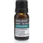 Ancient Wisdom Máta Polní esenciální olej 10 ml – Hledejceny.cz