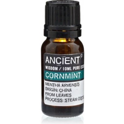 Ancient Wisdom Máta Polní esenciální olej 10 ml – Hledejceny.cz