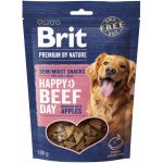 Brit Premium by Nature Dog Semi-moist Snacks Beef with Apples 180 g – Hledejceny.cz