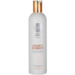 Natura Siberica Copenhagen Vitaminový šampon Zmrazené bobule 400 ml – Zboží Dáma