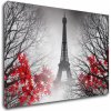 Obraz Impresi Obraz Eiffelova věž černobílá s červeným detailem - 60 x 40 cm