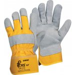 CXS Dingo – HobbyKompas.cz