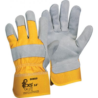 CXS Dingo – HobbyKompas.cz