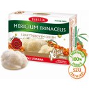 Terezia Company Hericium erinaceus s rakytníkovým olejem 60 kapslí