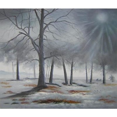 Zimní les - 50 x 60 cm