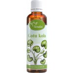 Serafin Gotukola tinktura z bylin 50 ml – Hledejceny.cz