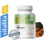 MycoMedica Chaga PRO 2 x 90 kapslí – Hledejceny.cz
