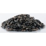 Biostan Biokron Slunečnice černá 5 kg – Zbozi.Blesk.cz