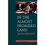 In the Almost Promised Land: American Jews and Blacks, 1915-1935 Diner Hasia R.Paperback