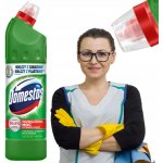 Domestos Fresh WC čistič Pine 750 ml – HobbyKompas.cz