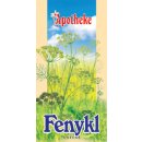 Apotheke Fenykl obecný čaj 20 x 2 g