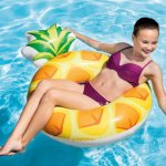 INTEX 56266 Ananas – Hledejceny.cz