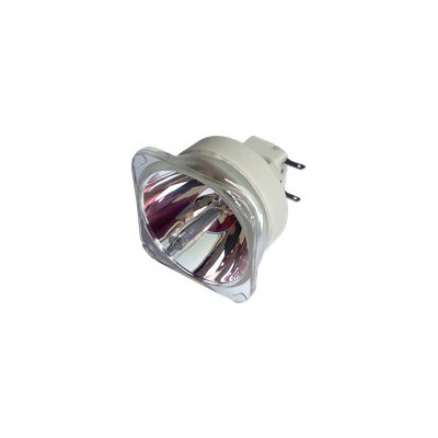 Lampa pro projektor SANYO PLC-WU3001, kompatibilní lampa bez modulu – Zboží Živě