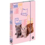 Karton P+P A5 Mazlíčci 5-68620 – Zboží Dáma