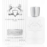 Parfums De Marly Galloway Royal Essence parfémovaná voda unisex 75 ml – Zbozi.Blesk.cz