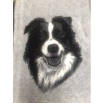 VetBed Vet Bed Border Collie – Zboží Mobilmania
